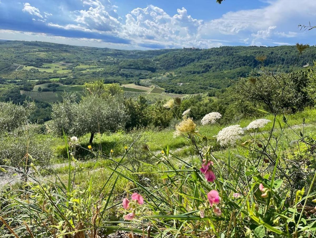 Bolara 60: The Cottage Grožnjan Dış mekan fotoğraf