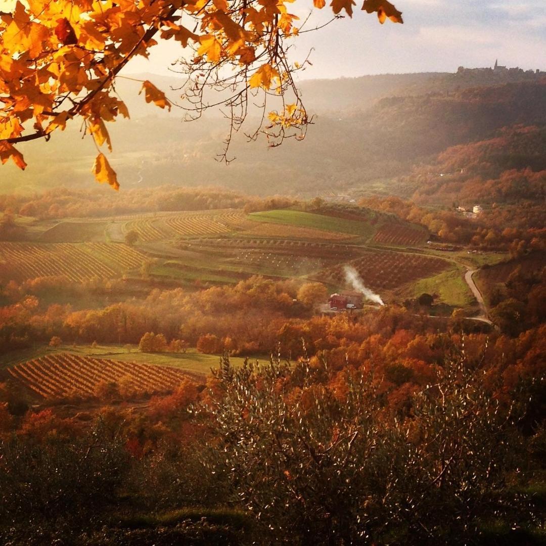 Bolara 60: The Cottage Grožnjan Dış mekan fotoğraf